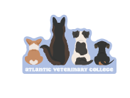 040962101742 Atlantic Veterinary College Dogs Sticker