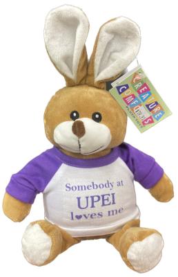 069202308239 UPEI Plush Toy Bunny