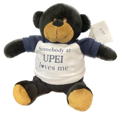 069202870224 UPEI Plush Toy Black Bear