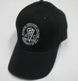 88800004045 Avc Logo Hat